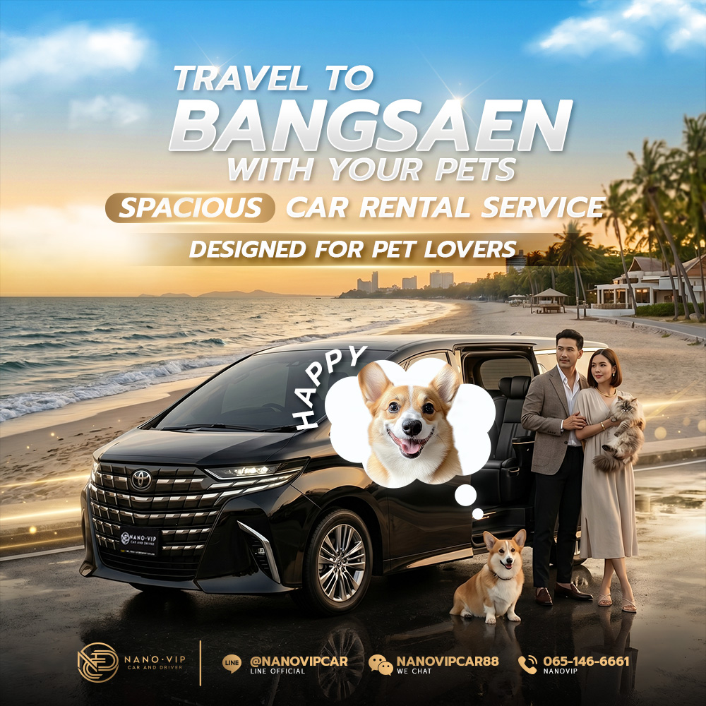 Take Your Pets to Bangsaen in Comfort – Spacious VIP Car Rental with Chauffeur for Pet Lovers