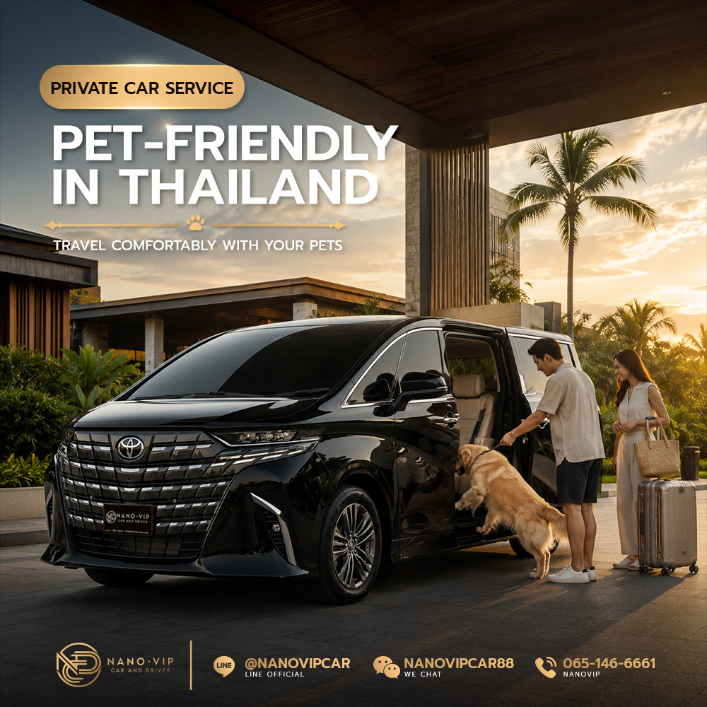 Pet-Friendly Private Car Service in Thailand: Travel Comfortably with Your Pet