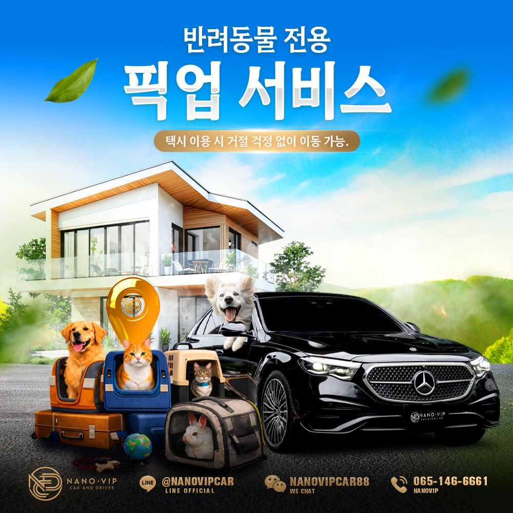 반려동물 전용 픽업 서비스 Pet Car