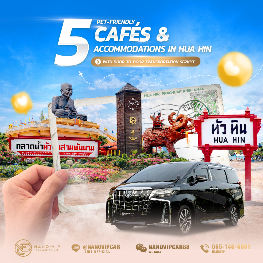 Pet-Friendly Hotels and Cafés in Hua Hin 2026