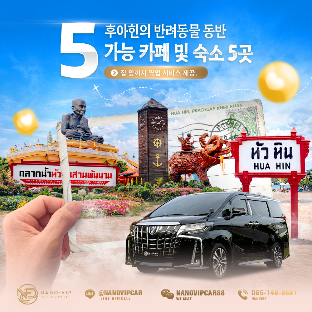 2026 후아힌 반려동물 동반 숙소 & 카페 추천 – 강아지·고양이와 함께하는 바다 여행 + VIP 픽업 서비스