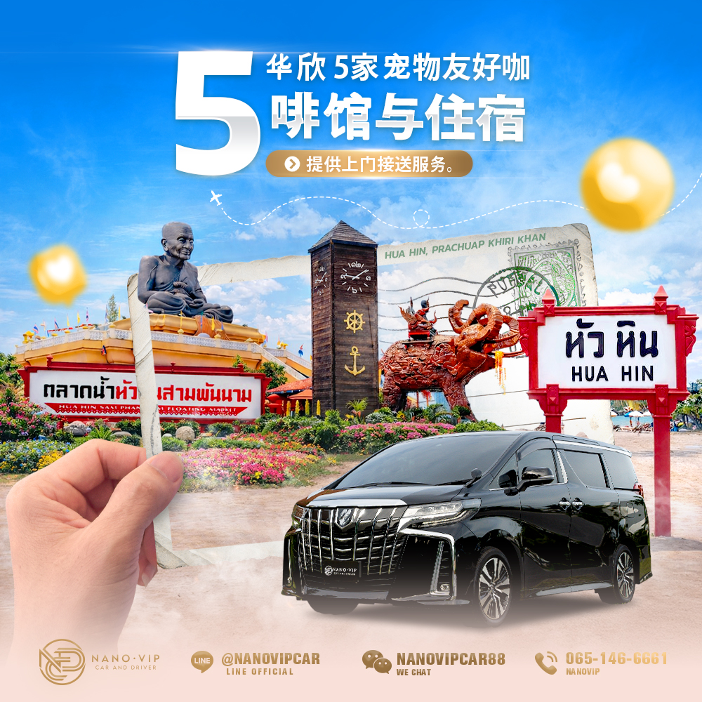 2026 华欣宠物友好酒店与咖啡馆推荐｜带猫狗轻松海边度假，尊享 VIP 接送服务