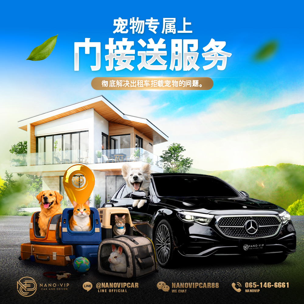 宠物专车上门接送服务