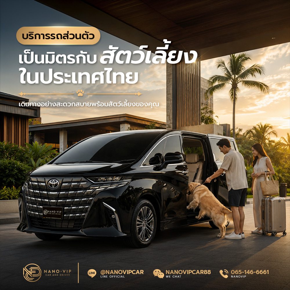 บริการรถส่วนตัวที่เป็นมิตรกับสัตว์เลี้ยงในประเทศไทย: เดินทางอย่างสะดวกสบายพร้อมสัตว์เลี้ยงของคุณ