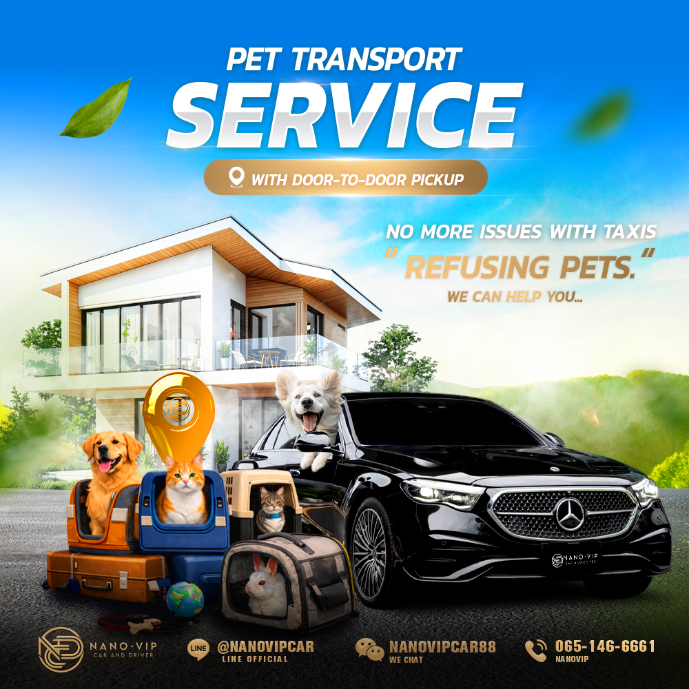 Pet Transportation Service with Door-to-Door Pickup