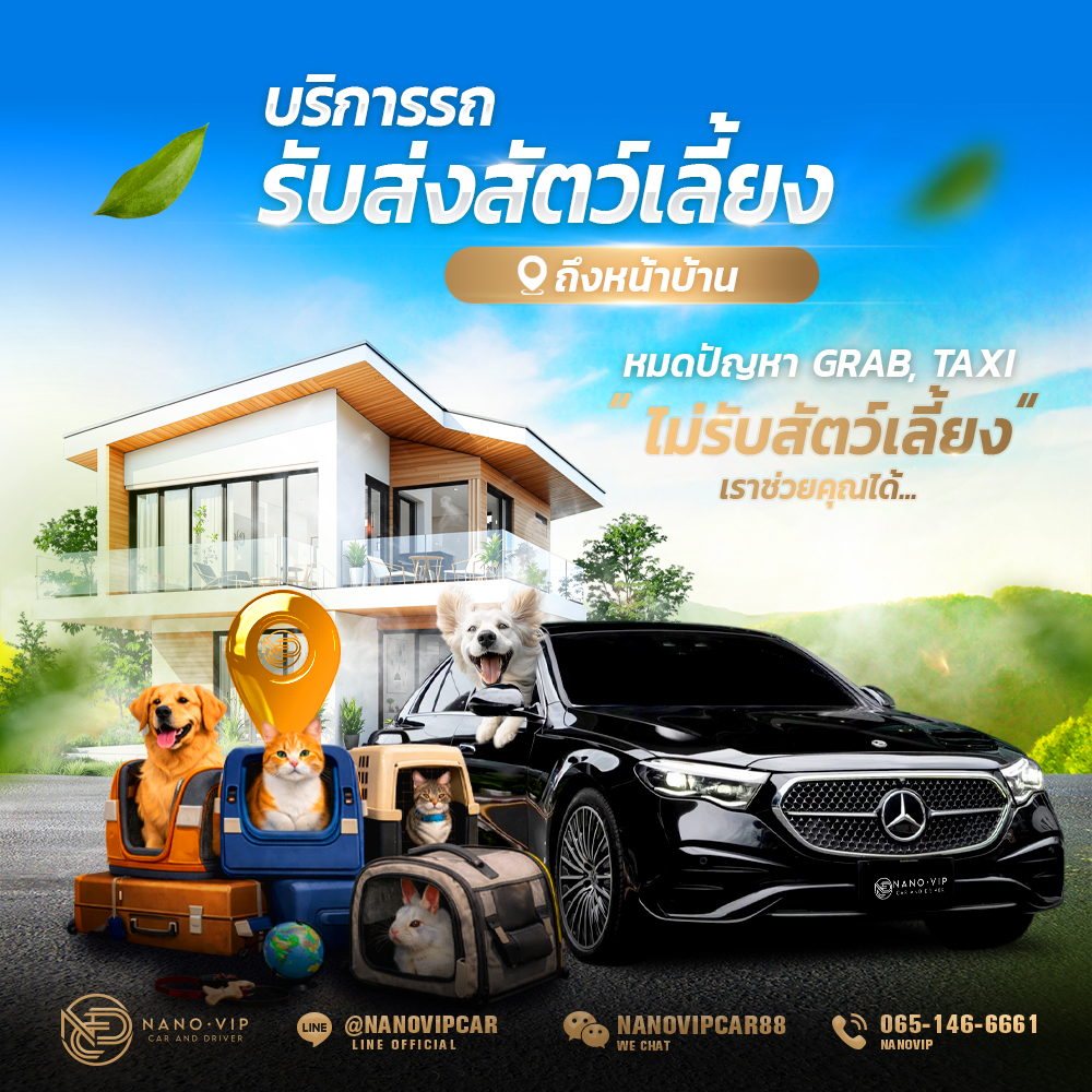 บริการรถรับส่งสัตว์เลี้ยง Pet Taxi ถึงหน้าบ้าน
